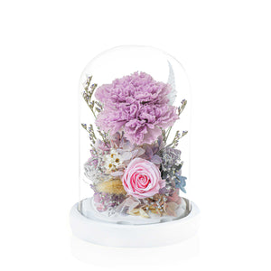 Preserved Carnation Magical Bell Jar - Lilac