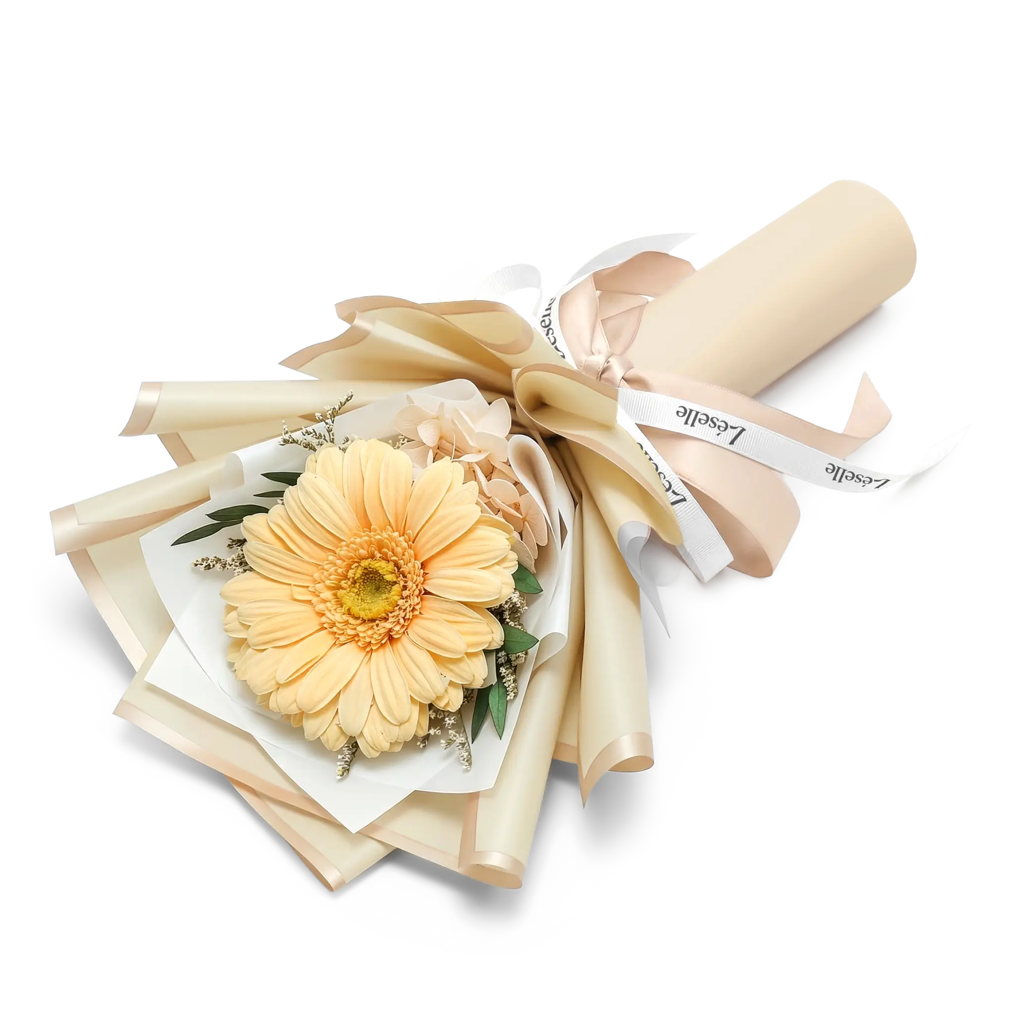 暖陽香檳單朵永生非洲菊花束