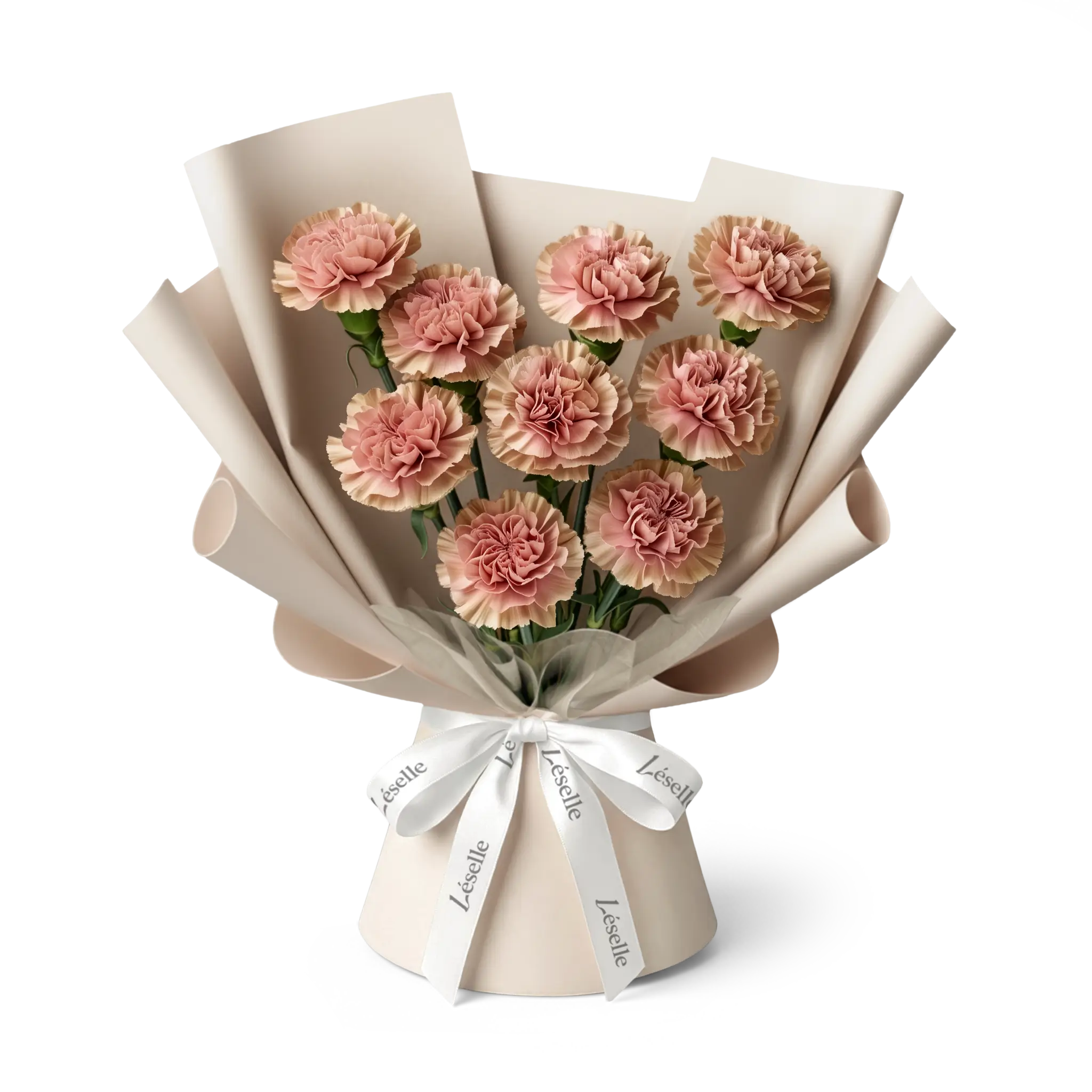 Bouquet of caramel carnations wrapped in nude paper with a white ribbon on a transparent background