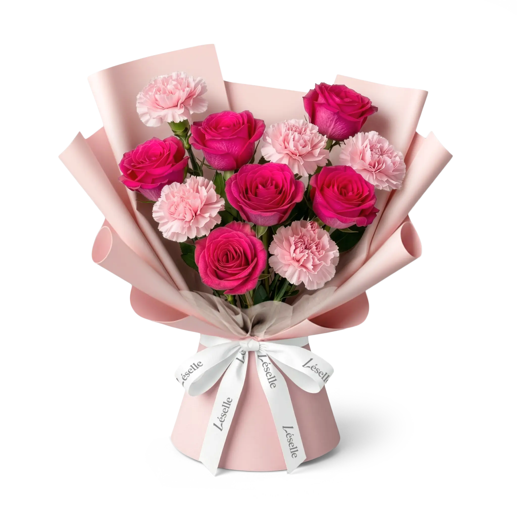 Bouquet of hot pink roses and blush carnations wrapped in silky rose paper with a white ribbon on a transparent background