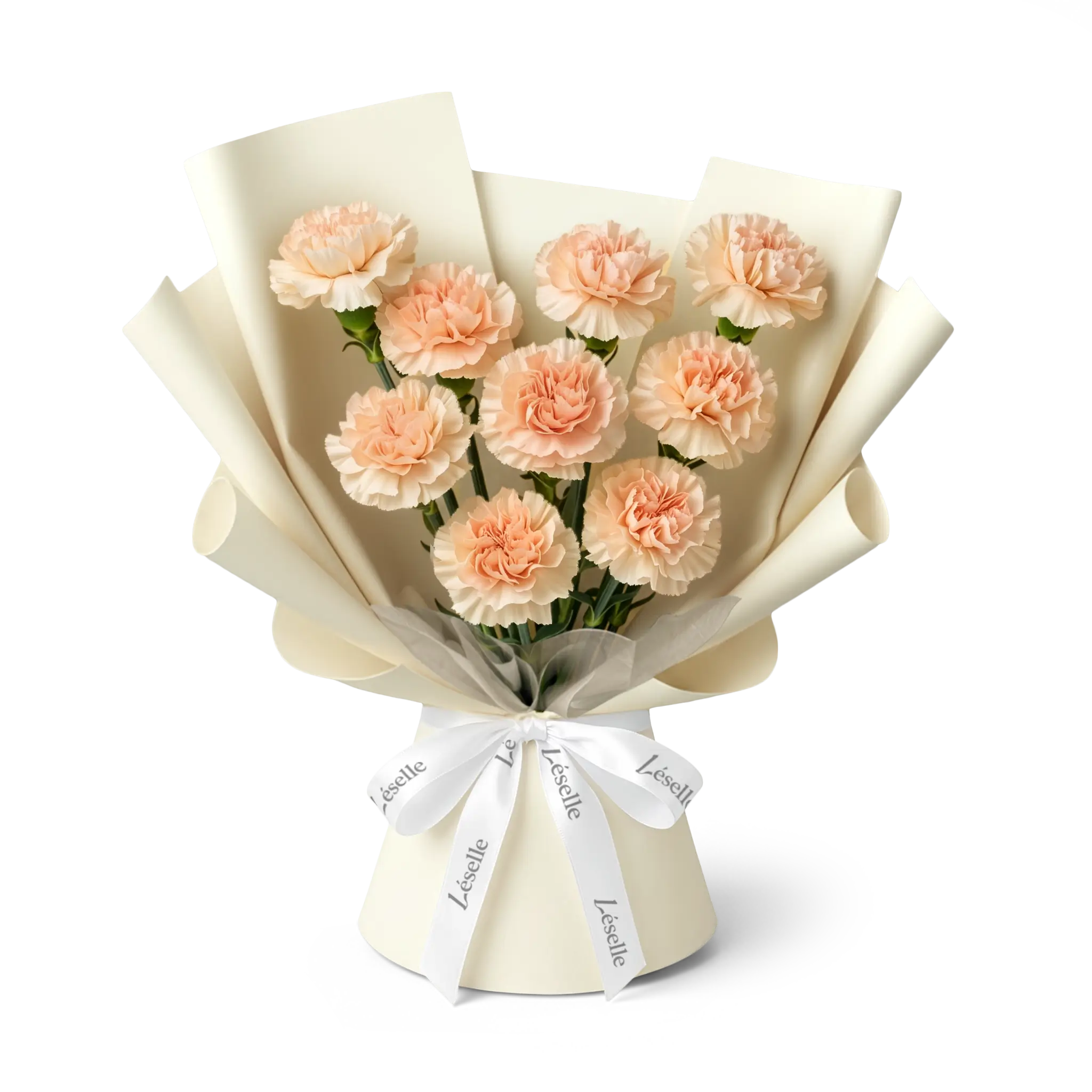 Bouquet of peach pink carnations wrapped in off white paper with a white ribbon on a transparent background
