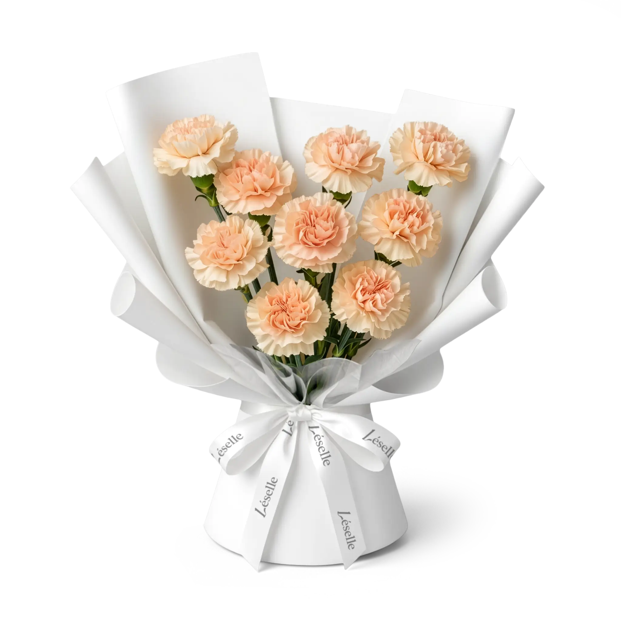 Bouquet of peach pink carnations wrapped in white paper with a white ribbon on a transparent background
