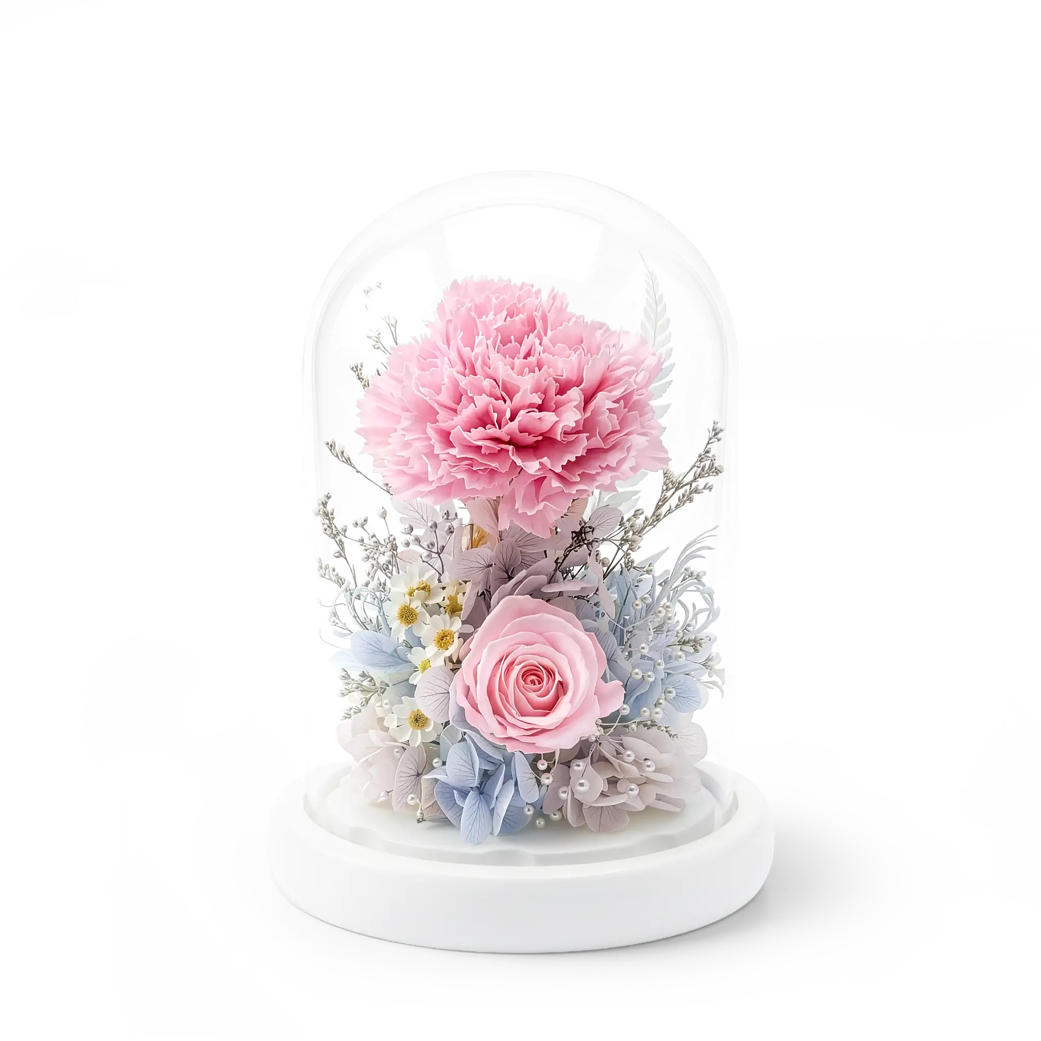 晨露柔粉 // 迷你永生康乃馨玻璃罩擺設