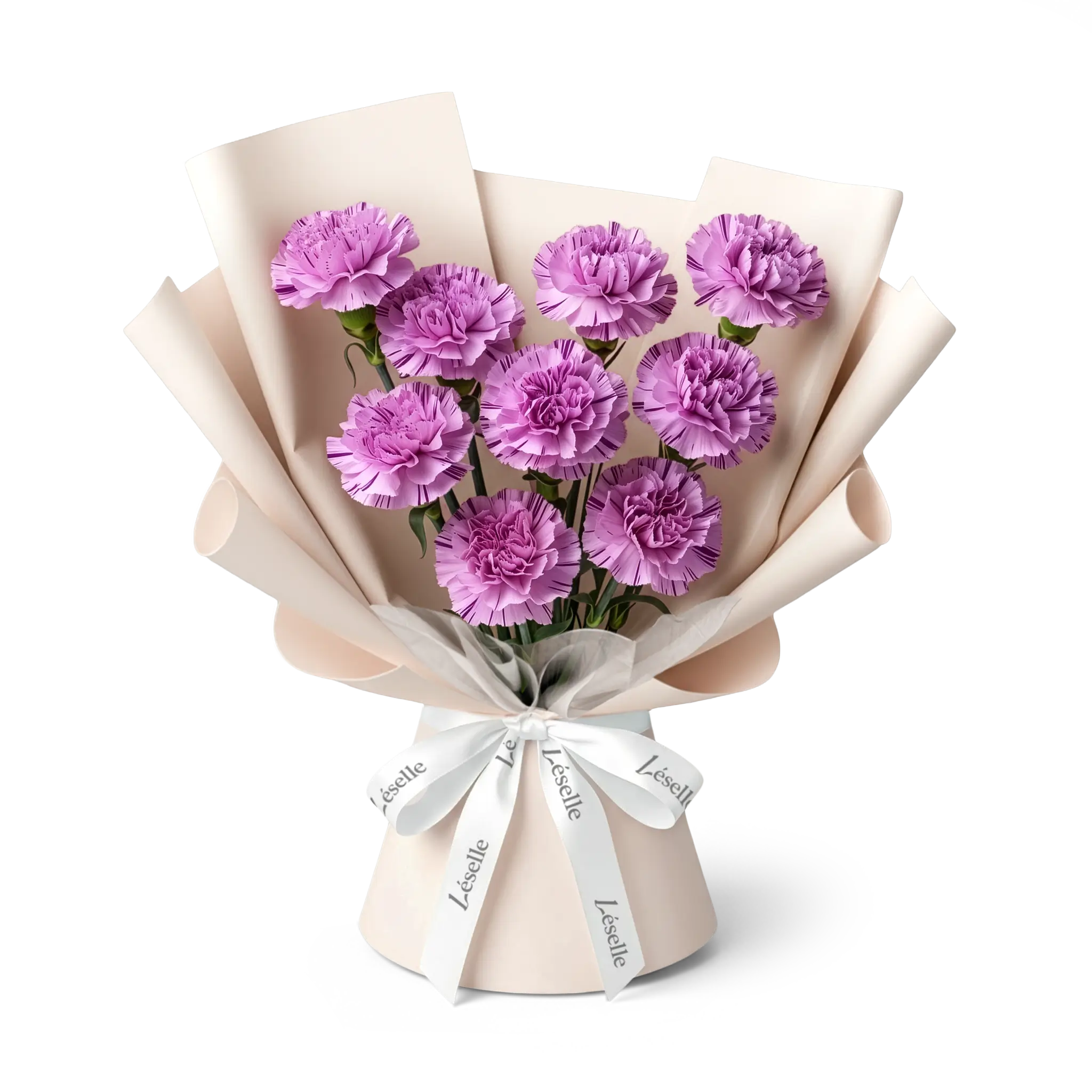 Bouquet of purple carnations wrapped in nude chiffon pink paper with a white ribbon on a transparent background