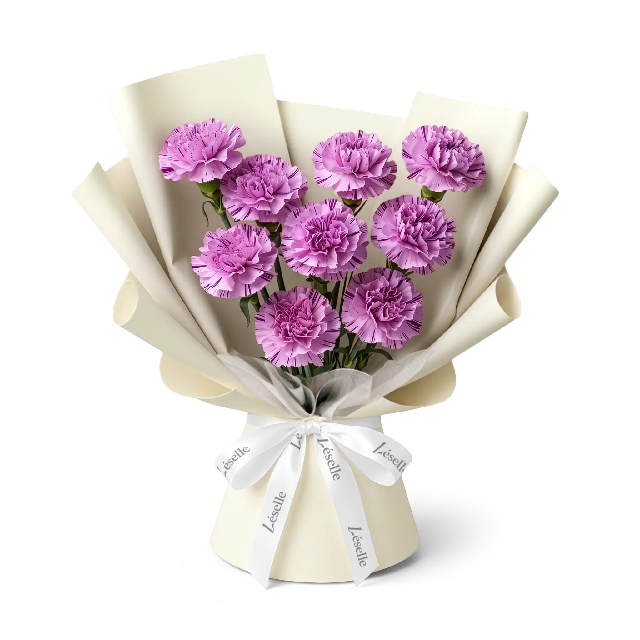 Bouquet of purple carnations wrapped in off white paper with a white ribbon on a transparent background