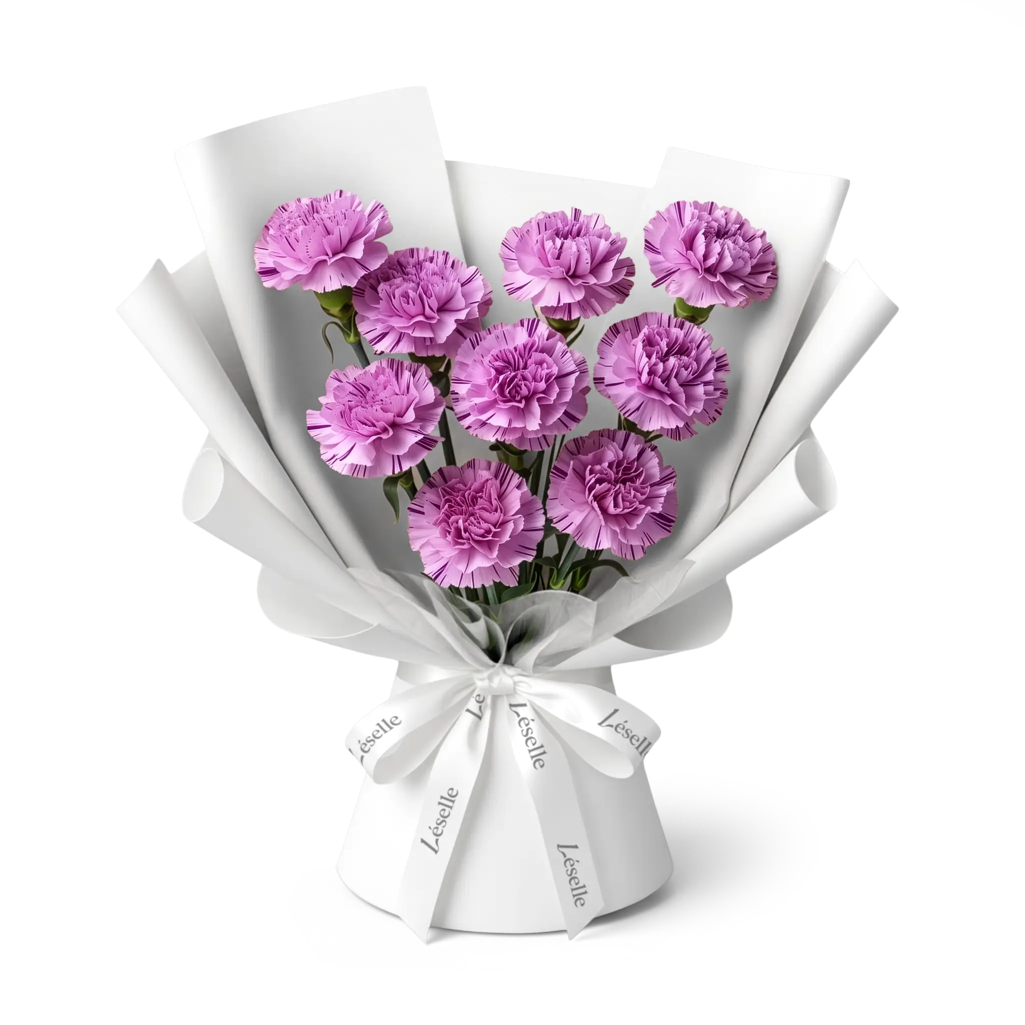Bouquet of purple carnations wrapped in white paper with a white ribbon on a transparent background