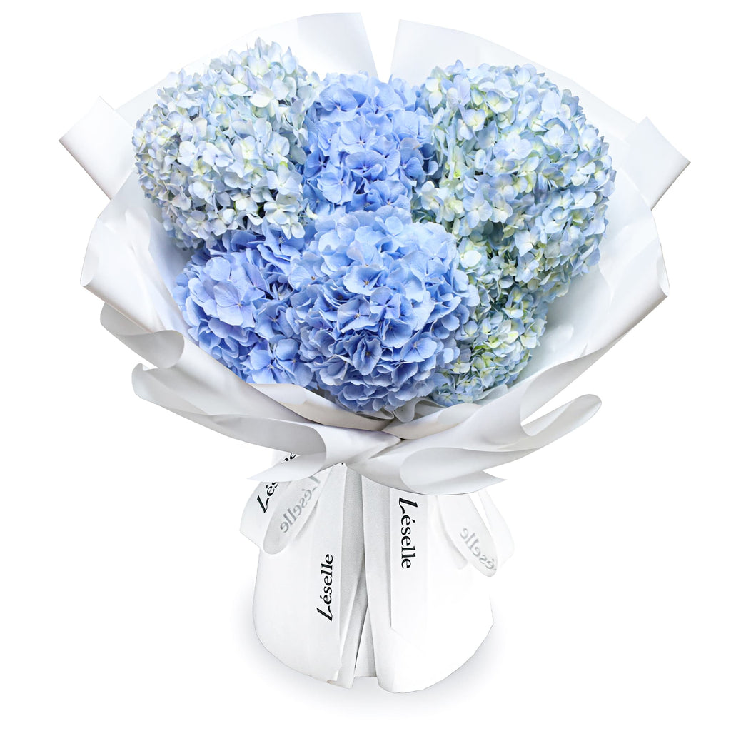 Fresh Flower Bouquet - Azure Blue Hydrangea (L)
