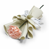 Fresh Flower Bouquet - Single Champagne Carnation