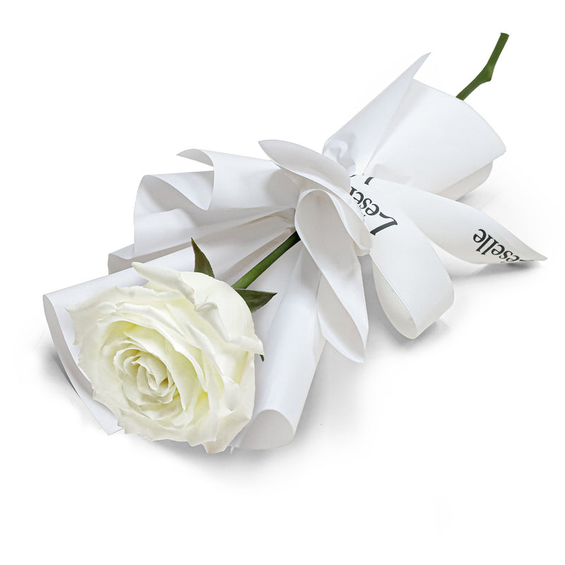 Fresh Flower Bouquet - Single Vanilla White Rose
