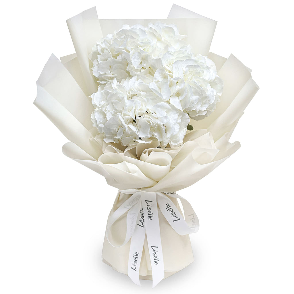 Fresh Flower Bouquet - Vanilla White Hydrangea (M)