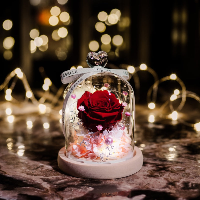 Mini Preserved Rose in Glass Dome 紅玫瑰永生花保鮮花擺設