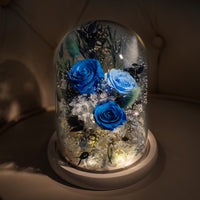 Preserved Flower in Glass Dome 藍玫瑰永生花玻璃罩擺設