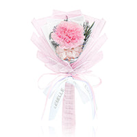 Preserved Carnation Bundle - Blush Pink