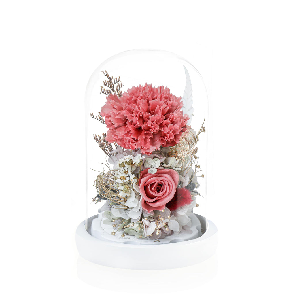 Eternal Carnation in glass dome 永生康乃馨玻璃罩擺設